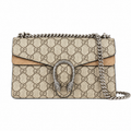 Gucci Dionysus Bag