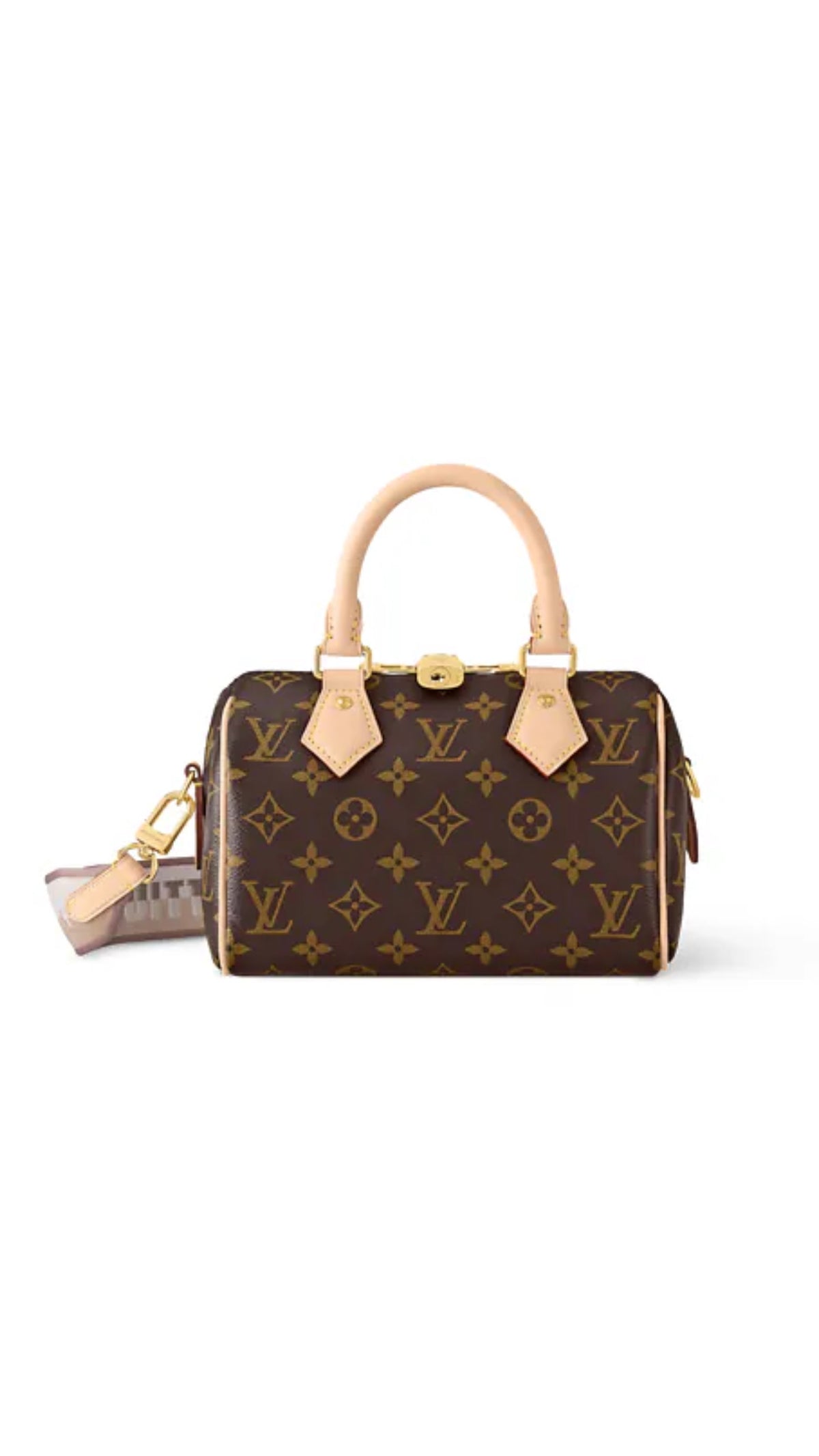 LV Monogram Speedy Bandoulière 20 Bag