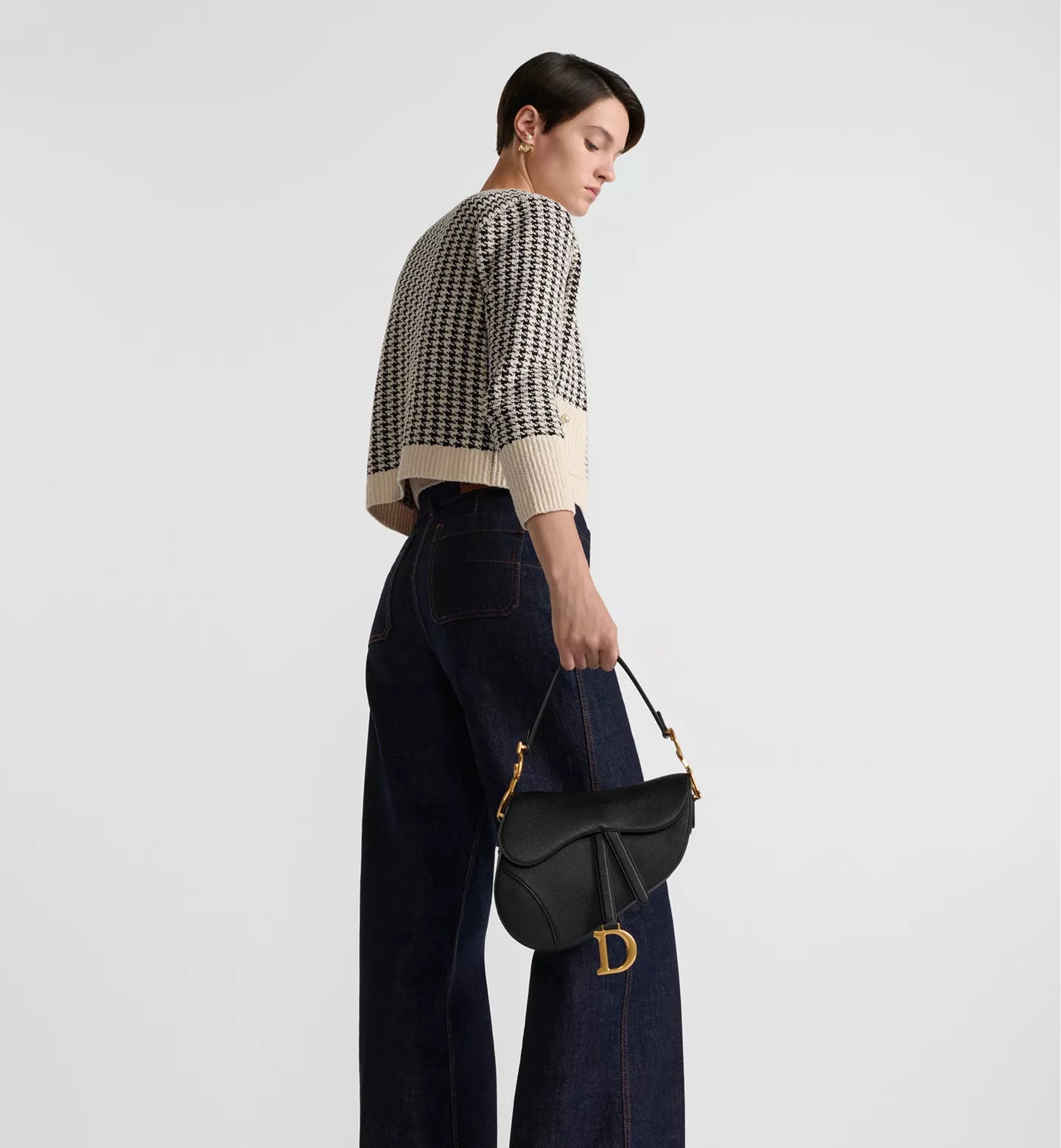 Dior Saddle Bag