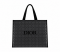 Dior Mesh Tote Bag