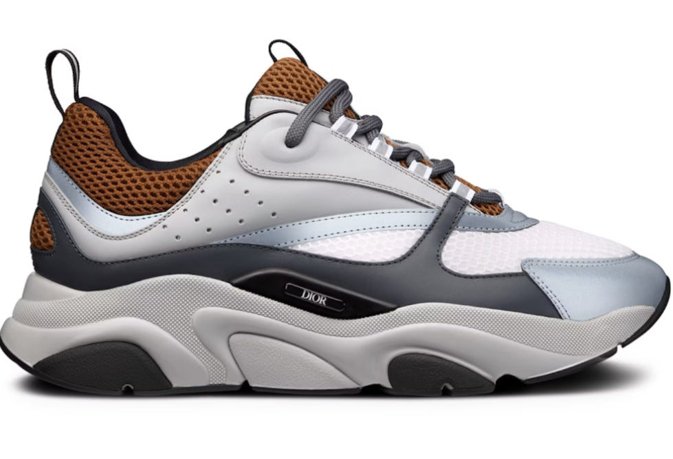 Dior B22 Coffee / Grey☑️