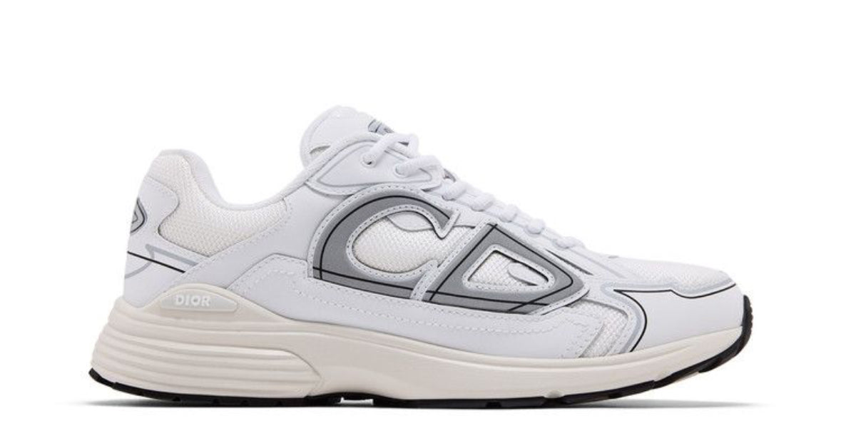 Dior B30 sneakers "White Grey"