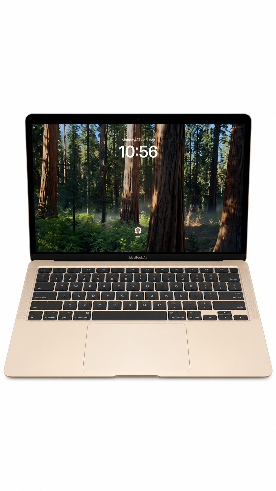 Apple MacBook Air Retina 13-inch (2020) A2179 - 8GB RAM - 256 GB